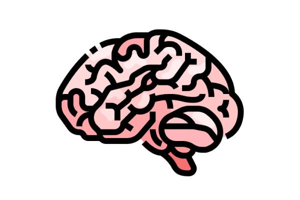 NeuroPathway AI®